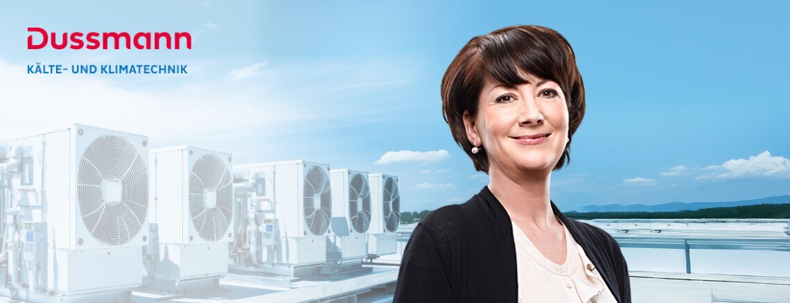 Montageleiter Kälte- und Klimatechnik (m/w/d) - ID: 10910, 2. Bild